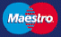 Maestro logo